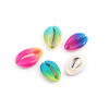 Picture of Natural Charms Shell At Random Dyed 23mm x 16mm - 19mm x 14mm, 5 PCs