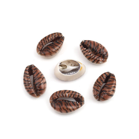 Picture of Natural Shell Loose Beads Conch/ Sea Snail Brown & Black Leopard Print Pattern About 25mm x 17mm - 18mm x 13mm, 10 PCs