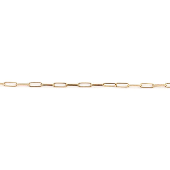 Image de Colliers en 304 Acier Inoxydable Chaînes de Maille Trombone Chaîne Maille Forçat Ovale Doré 59.7cm Long, 1 Pièce