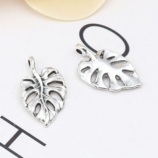 Picture of Zinc Based Alloy Charms Leaf Antique Silver Color 20mm x 12mm, 50 PCs