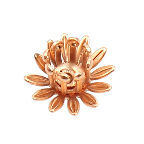 Изображение Brass Bead Cap Daisy Flower Gold Plated (Fit Beads Size: 6mm Dia.) 11mm x 11mm, 20 PCs                                                                                                                                                                        