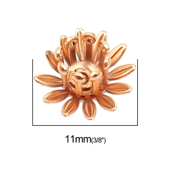 Изображение Brass Bead Cap Daisy Flower Gold Plated (Fit Beads Size: 6mm Dia.) 11mm x 11mm, 20 PCs                                                                                                                                                                        