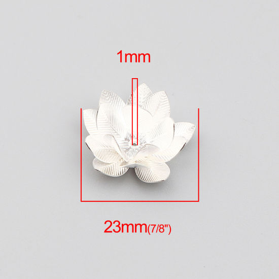Изображение Brass Bead Cap Flower Silver Plated (Fit Beads Size: 24mm Dia.) 23mm x 23mm, 5 PCs                                                                                                                                                                            