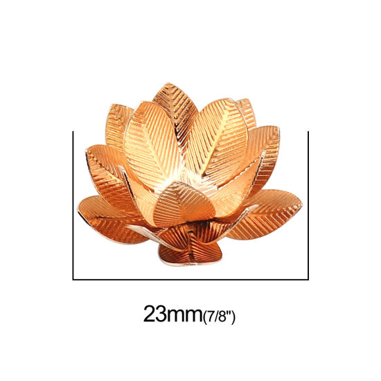 Bild von Messing Perlkappen Blumen KC Vergoldet (Für Perlengröße: 24mm D.) 23mm x 23mm, 5 Stück                                                                                                                                                                        