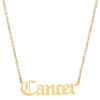 Picture of Stainless Steel Necklace Gold Plated Cancer Sign Of Zodiac Constellations Hollow 45cm(17 6/8") long, 1 Piece
