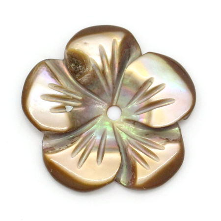 Natural Shell Spacer Beads Flower Coffee 16x16mm,Hole:approx 1mm,3PCs