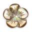 Bild von 3 Stück Natürliche Muschel Perlen zur DIY-Schmuckherstellung Blumen Kaffeebraun 16mm x 16mm, Loch:ca. 1mm