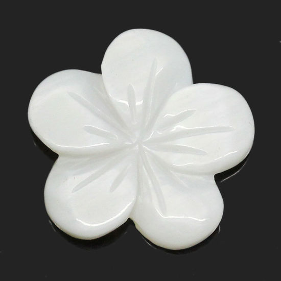 Picture of Shell Embellishment Findings Flower White 14mm x 14mm( 4/8"x 4/8"),5PCs