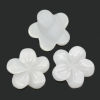 Picture of Shell Embellishment Findings Flower White 14mm x 14mm( 4/8"x 4/8"),5PCs