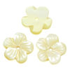 Picture of Shell Beads Flower Pale yellow 11mm x 11mm,Hole:Approx 1mm,4PCs