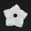 Bild von Muschel Perlen Blumen Weiß 10mm x 10mm, Loch: 1.3mm, 5 Stück