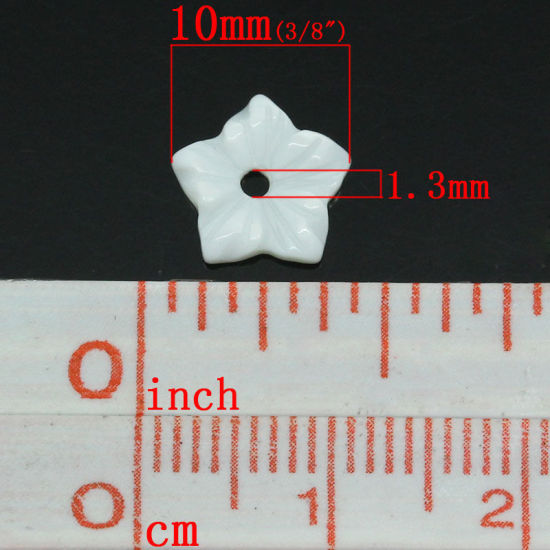 シェルビーズ フラワー 白 (長さ： 10mm)x (幅： 10mm)、 穴： 1.3mm、 5 個 の画像