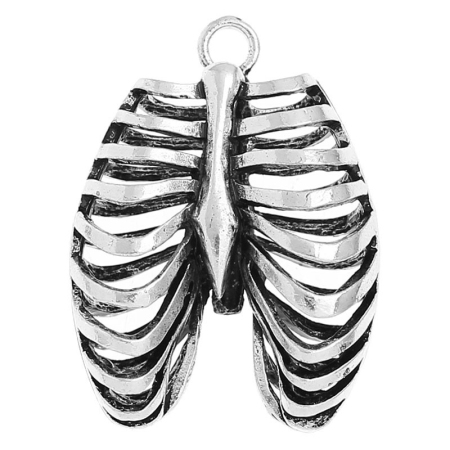 Zinc Metal Alloy Pendants Rib Cage /Thorax Antique Silver Color 4cm(1 5/8") x 3cm(1 1/8"), 3 PCs