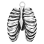 Picture of Zinc Metal Alloy Pendants Rib Cage /Thorax Antique Silver Color 4cm(1 5/8") x 3cm(1 1/8"), 3 PCs