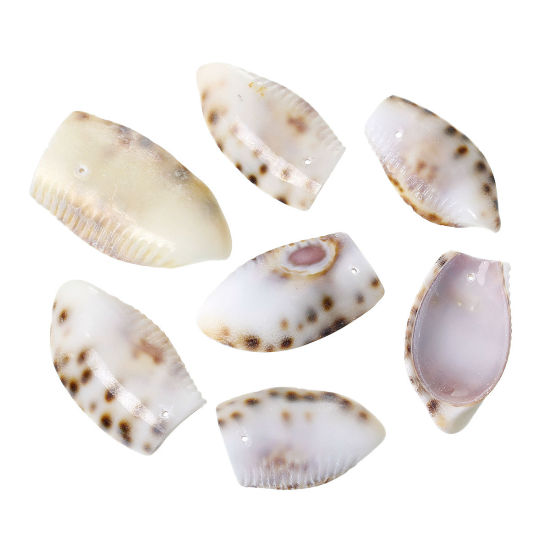 Picture of Natural Shell Pendants Oval Natural Color Brown Dot Pattern 5.3cm x 3.1cm(2 1/8" x1 2/8") - 4.3cm x 2.3cm(1 6/8" x 7/8"), 4 PCs
