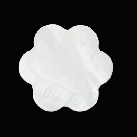 Natural Shell Cabochons Embellishments Findings Flower White 3.0mm x 3.0mm, 10 PCs