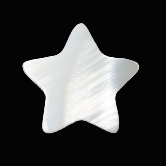 Picture of Shell Cabochons Embellishments Findings Stars Natural 17.0mm x 16.0mm, 50 PCs
