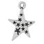 Immagine di Lega di Zinco Charm Ciondoli Stella a Cinque Punte Argento Antico Stella Scolpito 22mm x 15mm , 30 Pz