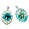 Picture of Resin Charm Pendants Oval Transparent Green Blue Real Flower 30.0mm(1 1/8") x 17.0mm( 5/8"), 2 PCs