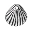 Picture of Zinc Based Alloy Charms Antique Silver Color Shell 12mm x 11mm, 6 PCs