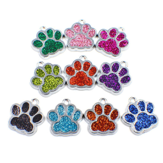 Изображение Zinc Based Alloy & Glass Pet Memorial Charms Paw Claw Silver Tone At Random Color Glitter 16mm x 16mm, 10 PCs