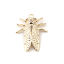 Immagine di Lega di Zinco Insetto Charms Cicala 16K Vero Oro Placcato 27mm x 22mm , 5 Pz