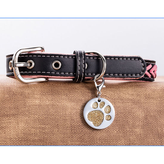 Immagine di Zinc Based Alloy Pet Memorial Charms Round Disc Silver Tone Golden Paw Claw Glitter 27mm, 2 PCs