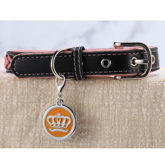 Picture of Zinc Based Alloy Pet Memorial Charms Round Disc Silver Tone Orange Crown Enamel 25mm, 2 PCs