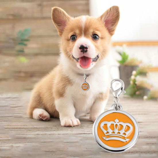 Picture of Zinc Based Alloy Pet Memorial Charms Round Disc Silver Tone Orange Crown Enamel 25mm, 2 PCs