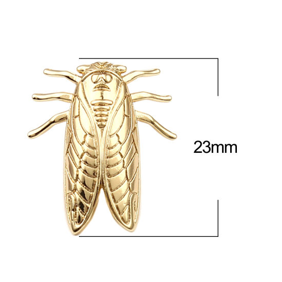 Bild von Messing Insekt Ohrring Ohrstecker 18K Vergoldet Zikade M/Öse 23mm x 19mm, 2 Stück
