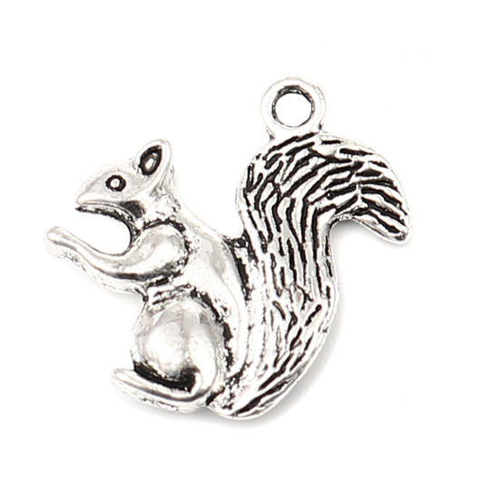 Immagine di Lega di Zinco Charms Scoiattolo Argento Antico 21mm x 21mm , 30 Pz