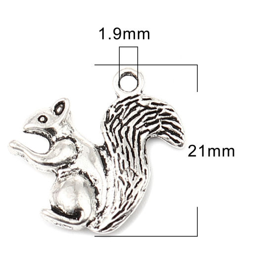 Immagine di Lega di Zinco Charms Scoiattolo Argento Antico 21mm x 21mm , 30 Pz
