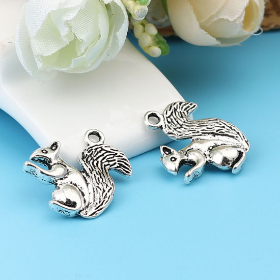 Immagine di Lega di Zinco Charms Scoiattolo Argento Antico 21mm x 21mm , 30 Pz