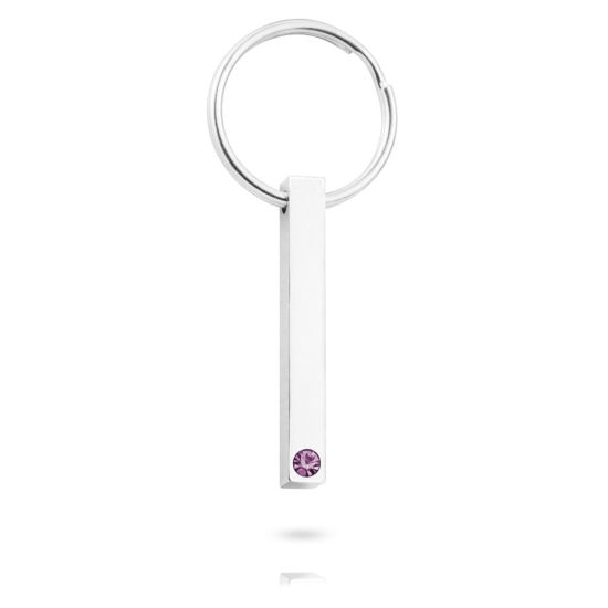 Picture of 304 Stainless Steel Birthstone Keychain & Keyring Circle Ring Silver Tone Rectangle Blank Stamping Tags Purple Rhinestone 65mm, 1 Piece