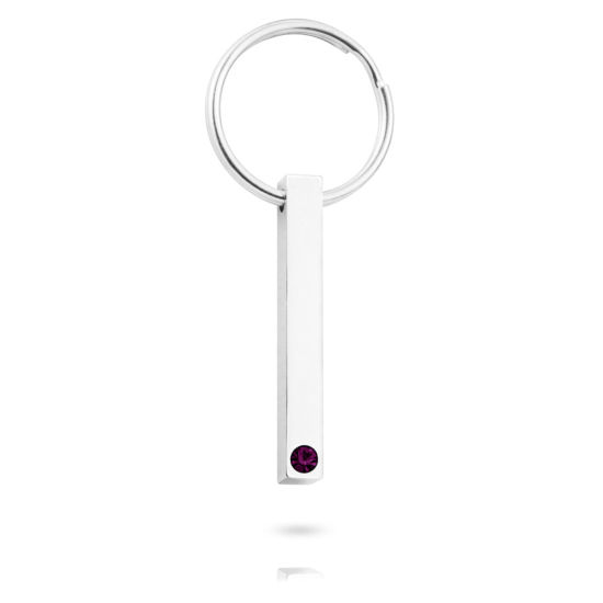 Picture of 304 Stainless Steel Birthstone Keychain & Keyring Circle Ring Silver Tone Rectangle Blank Stamping Tags Wine Red Rhinestone 65mm, 1 Piece