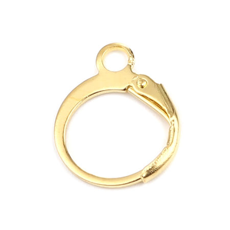 Bild von Creolen aus Eisenlegierung mit Ringring und Schleife