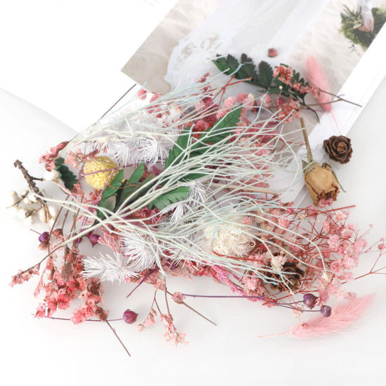 Picture of Real Dried Flower Resin Jewelry Craft Filling Material At Random Color 17cm x 12cm, 1 Box