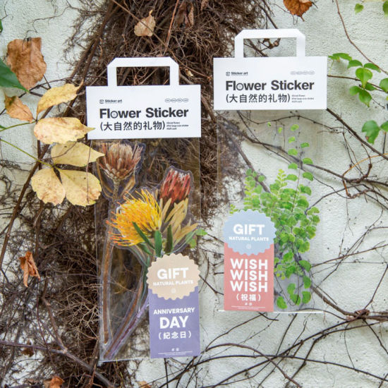 Изображение Multicolor - PET Flower DIY Scrapbook Deco Stickers Gift of Nature 26cm, 1 Set
