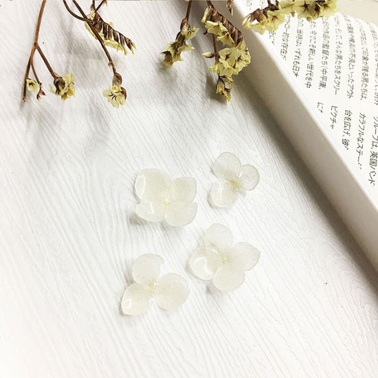 Picture of Handmade Resin Jewelry Real Flower Dried Flower Decoration Creamy-White Hydrangea Flower 3cm - 0.8cm, 2 PCs