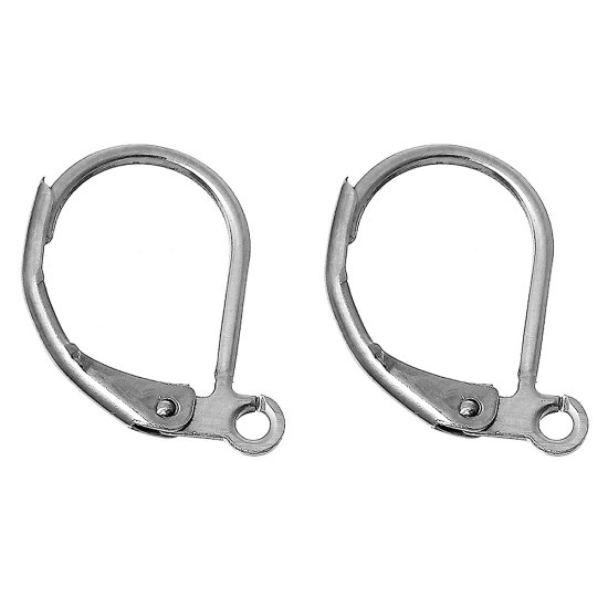 Picture of 304 Stainless Steel Lever Back Clips Earring Findings Silver Tone W/ Loop 16mm( 5/8") x 11mm( 3/8"), 30 PCs