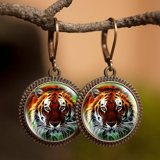 Picture of Brass & Glass Hoop Earrings Bronzed Multicolor Round Tiger 30mm, 1 Pair                                                                                                                                                                                       