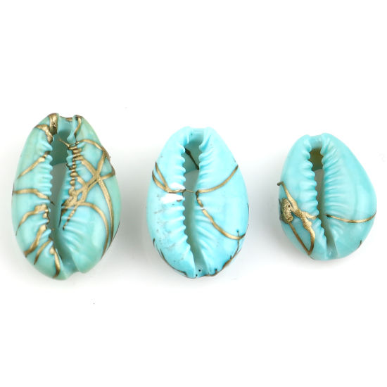 Image de Breloques Naturel en Coquille Coquille Cyan Coloré 24mm x 15mm-13x9mm, 10 Pcs