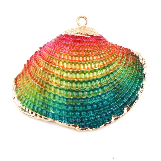 Picture of Natural Shell Pendants Gold Plated Scallop Multicolor Dyed 49mm x 42mm - 39mm x 34mm, 2 PCs