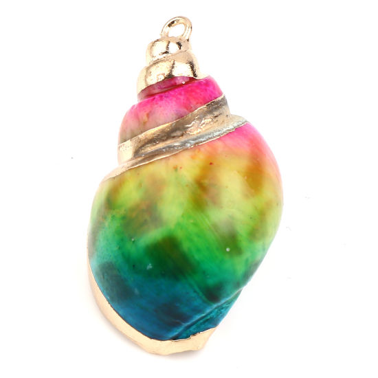 Picture of Natural Shell Pendants Gold Plated Conch/ Sea Snail Multicolor Dyed 38mm x 24mm - 29mm x 16mm, 2 PCs