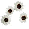 Picture of Christmas Pine Wood Home Decoration DIY Craft Creamy-White Sunflower 6.6cm(2 5/8") x 6.6cm(2 5/8"), 5 PCs