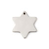 Picture of Stainless Steel Blank Stamping Tags Charms Star Silver Tone One-sided Polishing 21mm x 19mm, 5 PCs