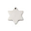 Bild von Edelstahl Leere Stempeletiketten Charms Stern Silberfarbe Einseitiges Polieren 21mm x 19mm, 5 Stück