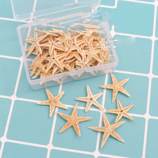 Picture of Ornaments Decorations Light Brown Star Fish 2cm - 3cm, 1 Packet ( 50PCs/Packet)