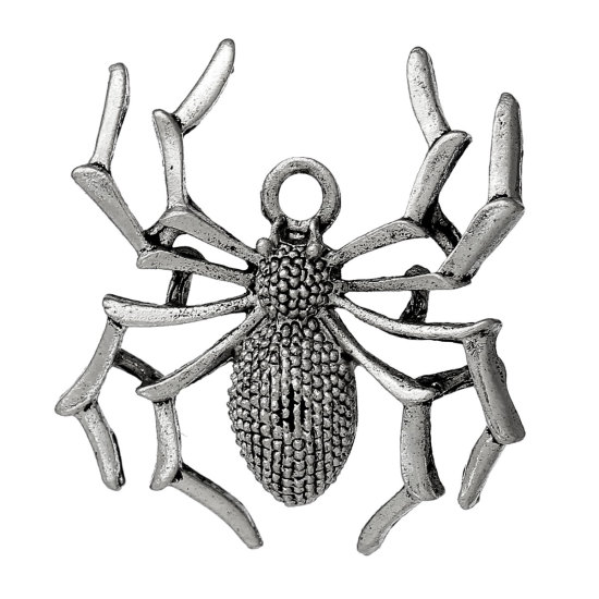 Immagine di Halloween Lega di Zinco Charm Ciondoli Ragno Argento Antico 35mm x 31mm , 10 Pz