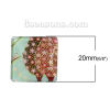 Bild von Glas Dom Cabochons Leuchten im Dunkel Quadrat Platt Bunt Eule Muster 20mm x 20mm, 10 Stücke
